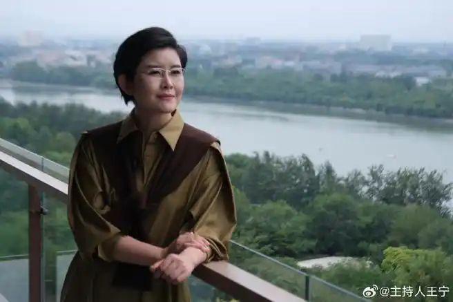 主持人王宁