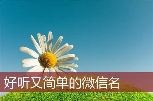 好听又简单的微信名