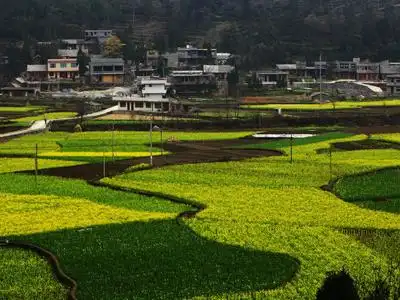 广州增城打造现代化新农村(图)