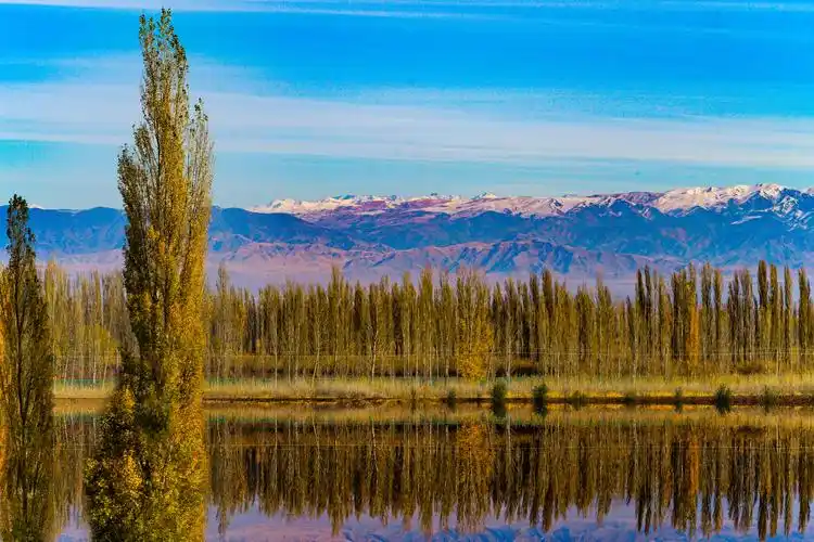 七一文学边疆行二白杨萝藦太阳坡周铁军专栏