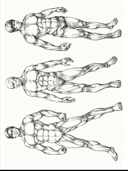 人物速写人体结构肌肉理解练习