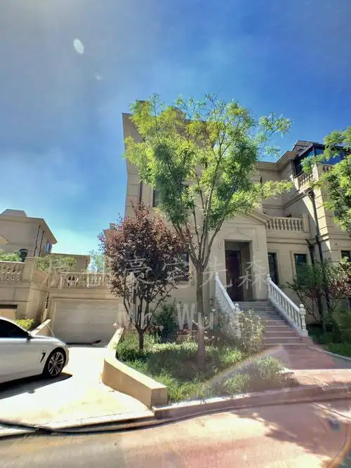 湖景别墅 免过户 恒瑞玺湖 唐门一品 挑空客厅 仅一套