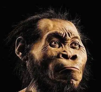 看了终于知道了!_人类