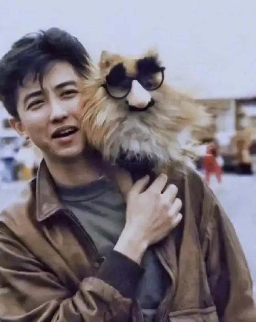 庾澄庆年轻时颜值##庾澄庆到底有多帅#一句迟来的好帅送给哈林老Ζ!