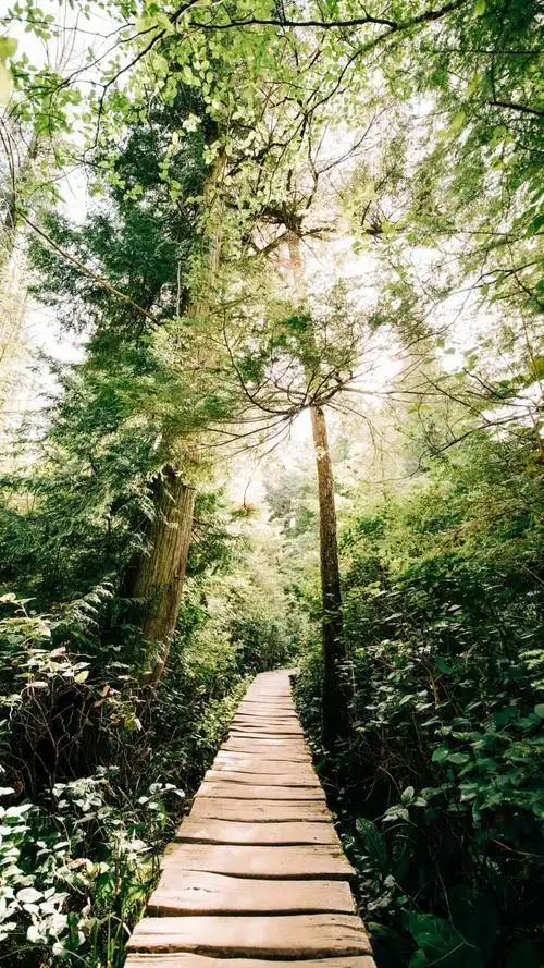 清新,人的,景色, 标签:清新淡雅唯美风景迷人清新唯美美景美景图片