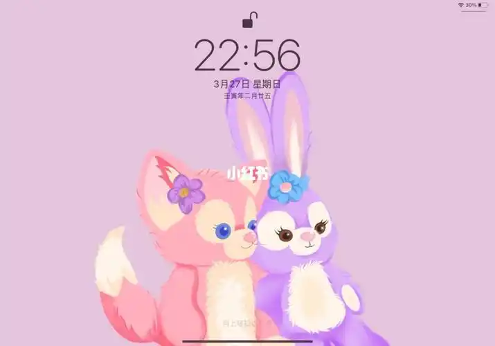 可爱的星黛露有人喜欢吗03#ipad壁纸