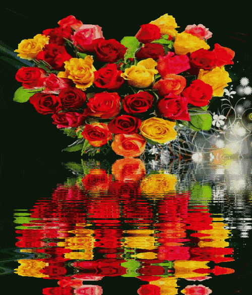 绝美动态玫瑰倒影花册(太绝美了!