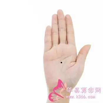文章 痣相图解以相学角度来说,手掌心生有痣的人,属于心思缜密,计算