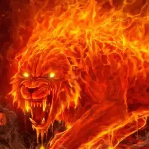 天龙八部宝宝带妖怎么看 妖虎