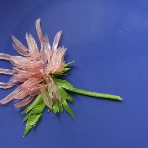 秋菊摆盘,美得令人心动,新手小白也能一学就会