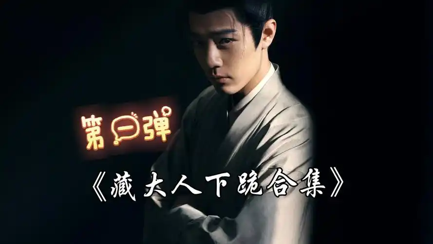 藏大人下跪合集第一弹