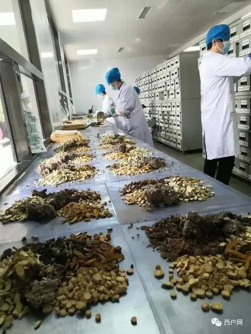 在鄠邑区中医医院中药房,员工在调配中药药品为抗击新冠肺炎疫情,鄠邑