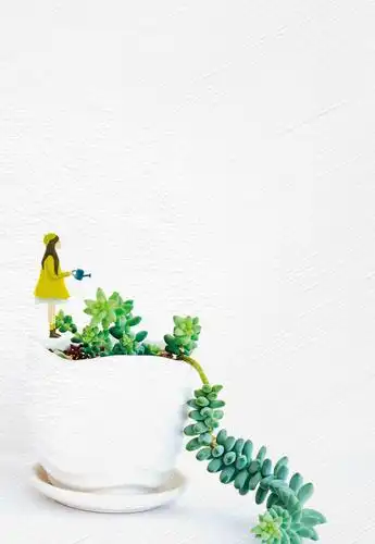 简约植物广告背景背景素材免费下载(图片编号:7709813)-六图网