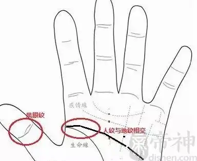 算命 手相 什么是凤眼纹 有凤眼纹的人命运如何