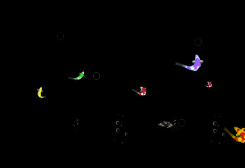 2018年快到了,送你100条金鱼,祝你金鱼满堂,年年有余~ 2017-12-30