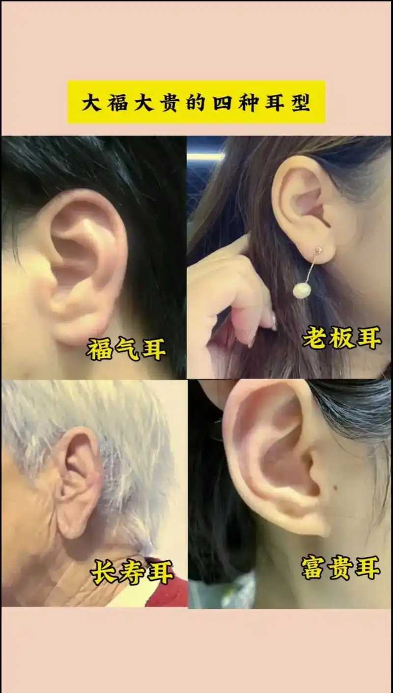 你是什么耳型 #耳朵大有福 #神奇的耳朵 #趣味测试 #耳 - 抖音