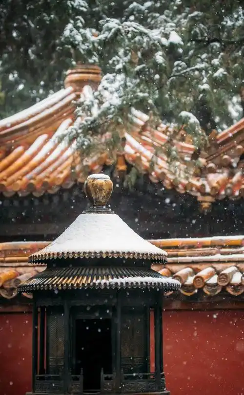 北京故宫迷人的雪景