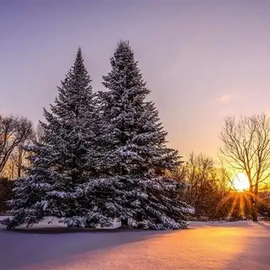 风景秀丽的大自然风景,2022年自然风景头像图片_风景头像_我爱你头像