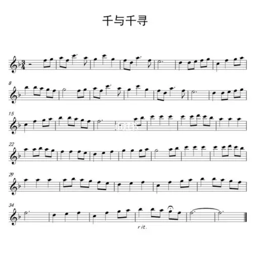 千与千寻花花演唱会长笛演奏版