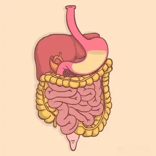 饮酒需适量切勿一醉方休酒精对消化系统的损伤可不小