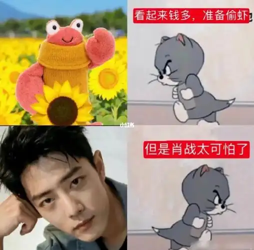 最主要还是虾离不开肖战