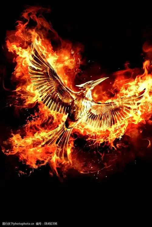 浴火重生火凤凰图片