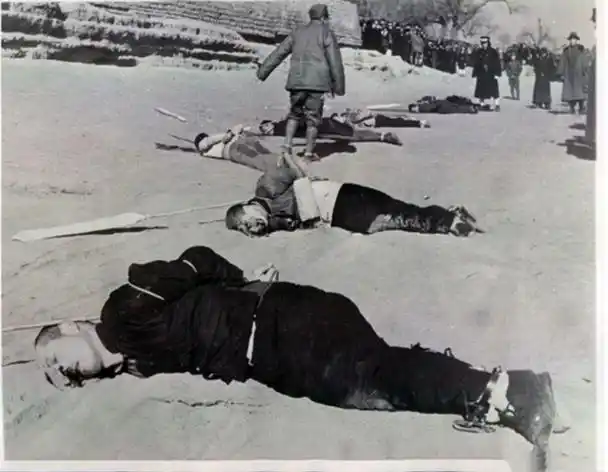1946年林柏生被枪决,死前要求体面:后脑勺先来一枪,补枪前额