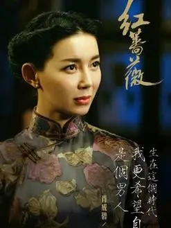 红蔷薇演员表,全部演员表,演员人物介绍_电视剧_电视猫