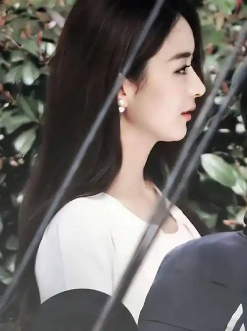 当我看到赵丽颖的侧脸时,才发现这个"鼻子"是多么完美啊!_脸部_眉毛_