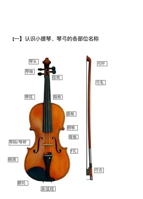 小提琴入门指南:准备工作篇 🎻