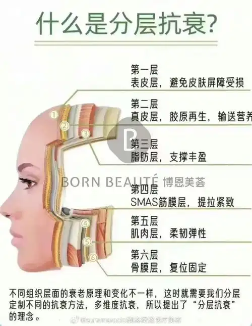 我们的皮肤分为6大层次,只有在不同的层次注入相对应的营养,才能达到