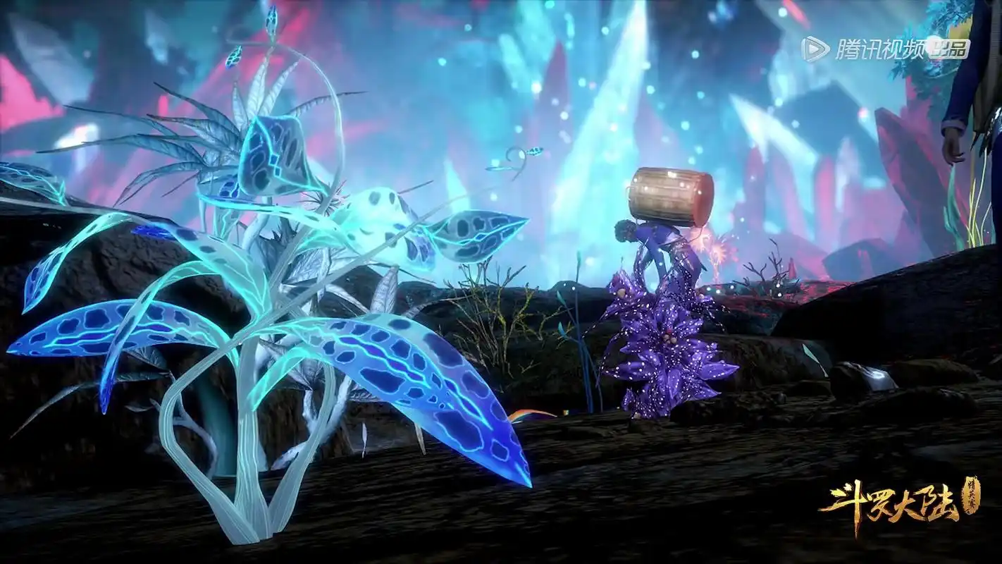 本以为蓝银草中的"王者"是蓝银皇,看到这一棵,阿银