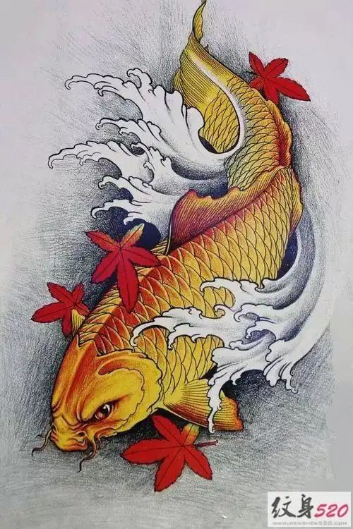 优雅的锦鲤莲花纹身手稿素材