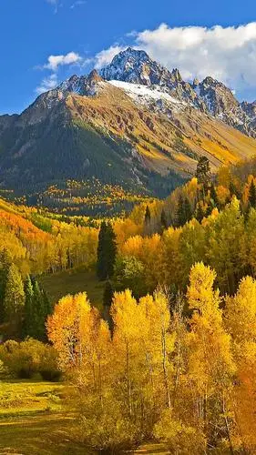 「壁纸」如诗如画,快来欣赏秋天的第一波美景