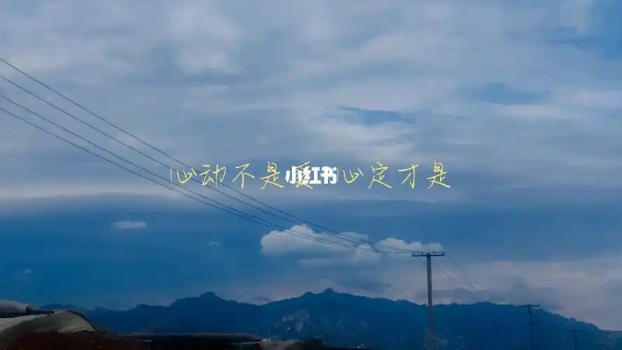 心动不是爱 心定才是