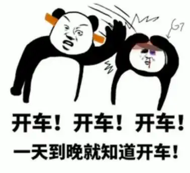 熊猫头表情包_开车_熊猫_一天到晚_知道表情