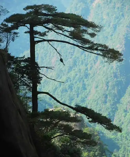 三清山,集天地之秀,纳百川之灵,是华夏大地一朵风景