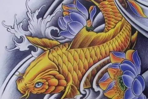 男人纹身纹什么运气好 锦鲤纹身纹在哪里招财-开运随记