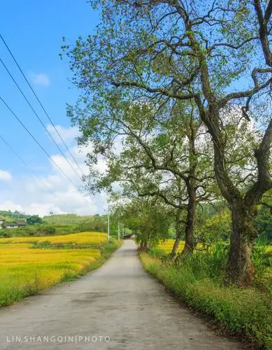 【图片5】乡村自然风光摄影--蜂鸟论坛照片套图