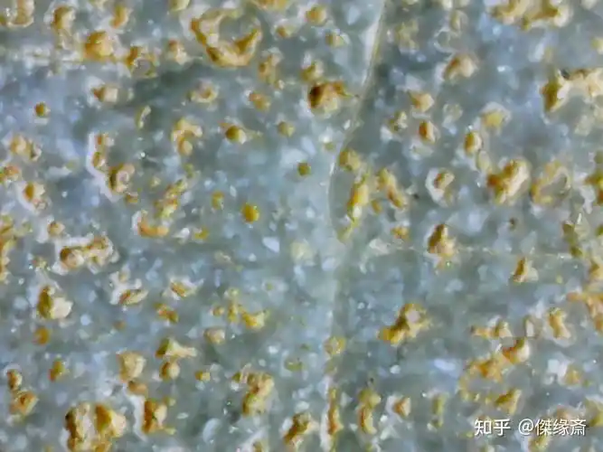 北宋汝窑特征---欣赏她的美 - 知乎