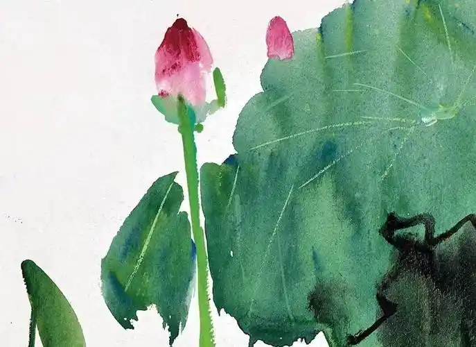 吴冠中水彩荷花挺好看的,水上水下的倒映