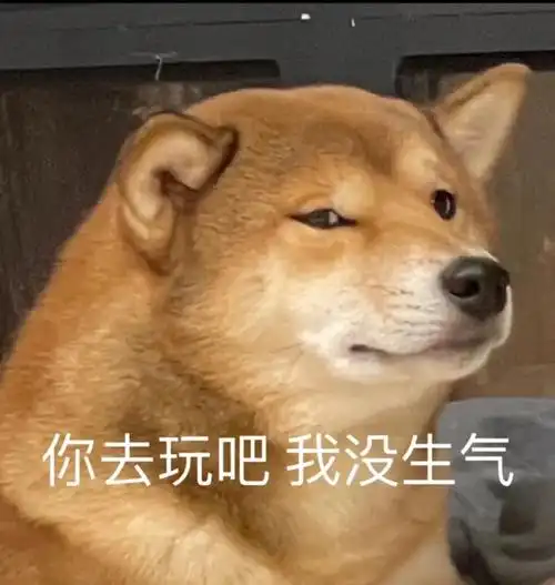 你去玩吧我没生气_玩吧_没生气表情