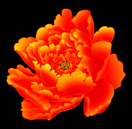 1024_1000gif 动态图 动图