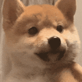 表情沙雕表情包20201122