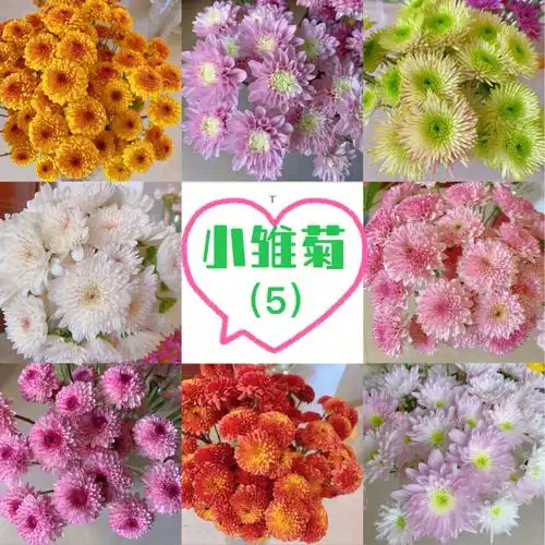 鲜花日记网购鲜花小雏菊记录5