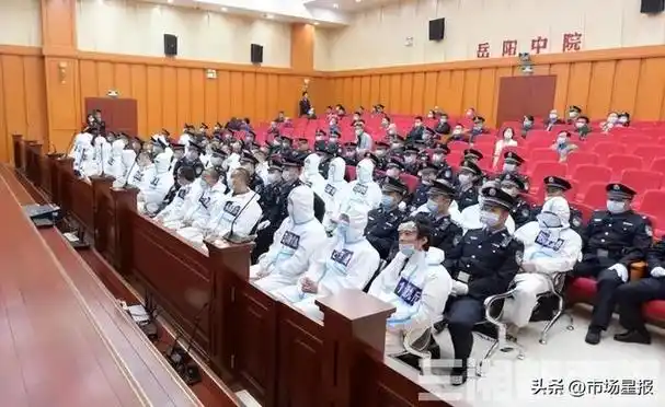 来源:岳阳市中院,三湘都市报,中国长安网