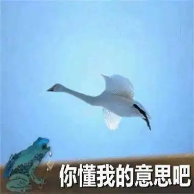 2021抖音跨年夜有空吗天鹅表情包2021抖音超火的跨年癞蛤蟆表情