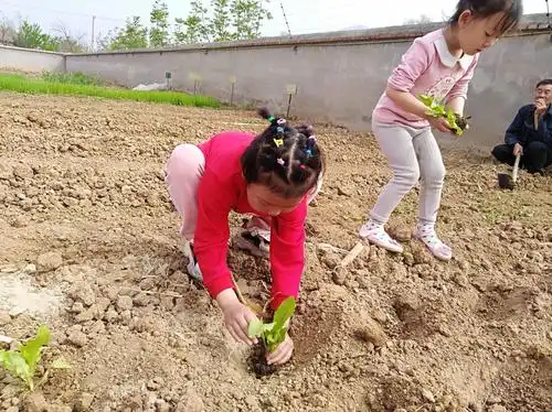 谷雨前后,种瓜点豆.一年一度的种植季,孩子们一起动起手来!