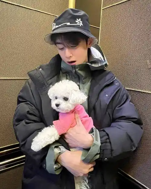 车银优韩剧今天也很可爱的狗