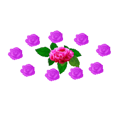 其它 鲜花动图集锦 写美篇技术交流群素材(鲜花动图)集锦